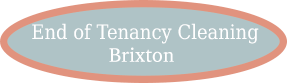 Cleaning Services in Brixton